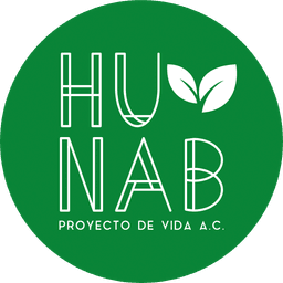 Logo HUNAB